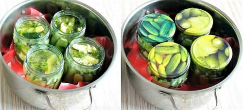 Салат из огурцов на зиму пальчики оближешь. Салаты из огурцов на зиму – 10 рецептов «пальчики оближешь»