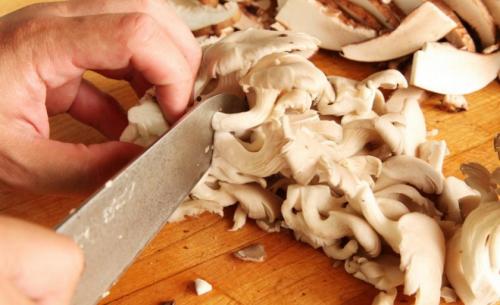 Почему вешенки горчат. Почему горчат вёшенки