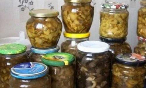 Рецепт маринованных белых грибов без стерилизации. Как замариновать белые грибы в банках без стерилизации