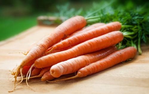 Заготовки из моркови на зиму в домашних условиях. Выбор моркови для заготовки на зиму