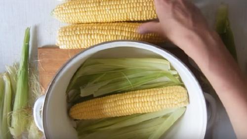 Приготовление кукурузы в домашних условиях. Как правильно варить кукурузу в початках и без початков в кастрюле?