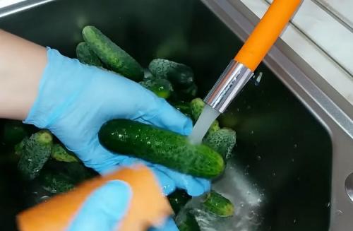 Крупные огурцы на зиму без стерилизации. Консервирование огурцов на зиму. Очень вкусные рецепты в литровых банках