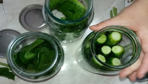 Как солить огурцы на зиму в литровых банках. Хрустящие соленые огурцы на зиму с лимонной кислотой без уксуса