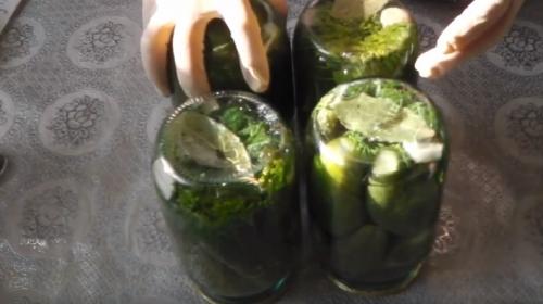 Как солить огурцы на зиму в 2 литровых банках. Засолка огурцов на зиму в литровых банках – 5 рецептов хрустящих соленых огурцов
