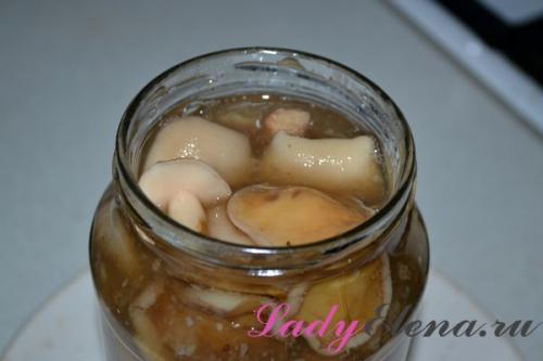 Рецепты консервирования грибов на зиму. Грибы маслята на зиму в банках — пошаговый фото рецепт