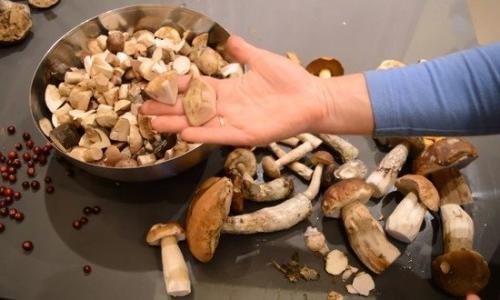 Консервация белых грибов на зиму. Маринованные белые грибы на зиму в банках — простые рецепты приготовления самых вкусных заготовок