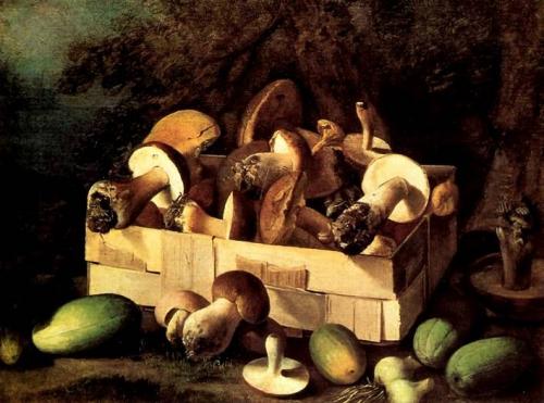 Пластинчатые грибы типичные представители. Классификация грибов и определение их доброкачественности