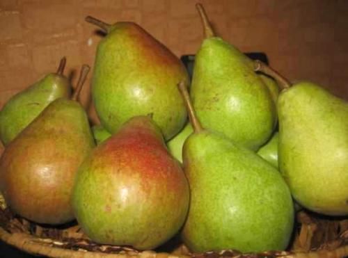 Груши дольками на зиму рецепты. Прозрачное варенье из груш с лимоном на зиму 23