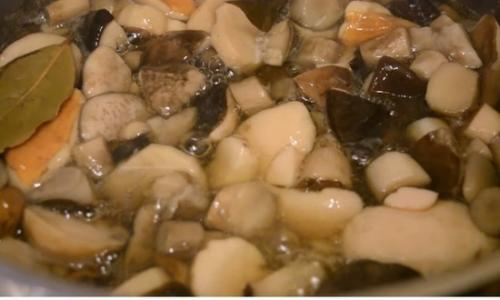 Консервация белых грибов на зиму. Маринованные белые грибы на зиму в банках — простые рецепты приготовления самых вкусных заготовок