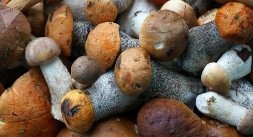 Сколько можно хранить маринованные грибы после вскрытия. Срок годности маринованных грибов открытую банку