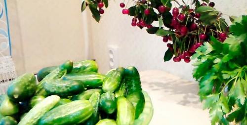 Салат из огурцов на зиму пальчики оближешь с луком