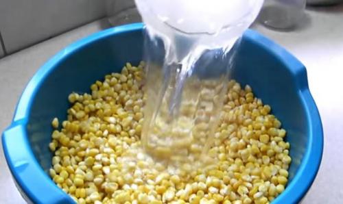 Консервированная кукуруза в початках в домашних условиях рецепт. Кукуруза на зиму в домашних условиях