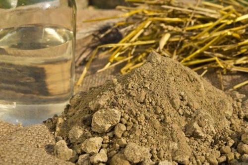 Как лечить деревья. Как вылечить дерево 03