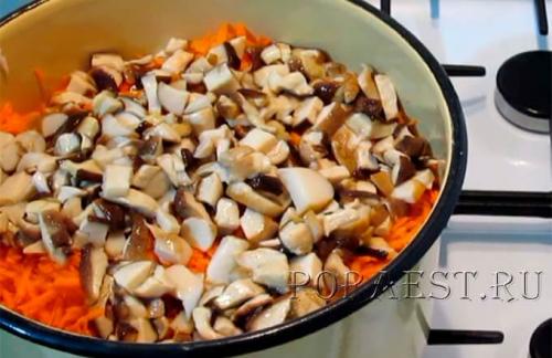 Солянка с грибами консервация. Рецепт солянки с грибами, капустой и томатной пастой без стерилизации 02