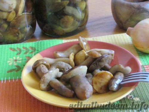 Грибы на зиму без стерилизации. Маринованные грибы рецепт без стерилизации