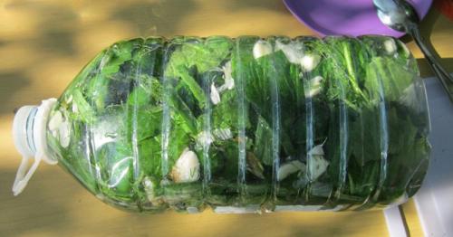 Огурцы на зиму без стерилизации