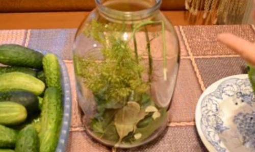 Как засолить огурцы в 3х литровой банке. Засолка хрустящих огурцов на зиму холодным способом рецепты на трехлитровую банку