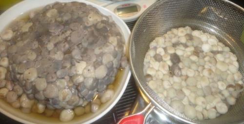 Маринованные лесные грибы быстрого приготовления. Лесные грибы (дождевики) –, как замариновать на зиму?