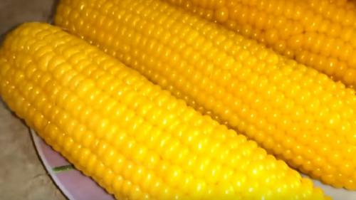 Приготовление кукурузы в домашних условиях. Как правильно варить кукурузу в початках и без початков в кастрюле?