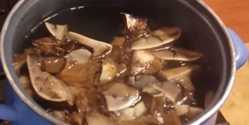 Солянка консервированная на зиму. Солянка на зиму из огурцов 19 Солянка консервированная на зиму. Солянка на зиму из огурцов 19