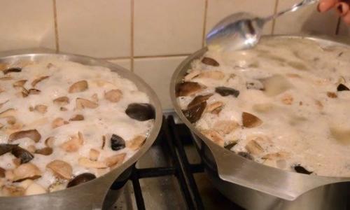 Консервация белых грибов на зиму. Маринованные белые грибы на зиму в банках — простые рецепты приготовления самых вкусных заготовок