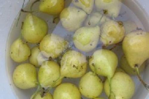 Груши дольками на зиму рецепты. Прозрачное варенье из груш с лимоном на зиму