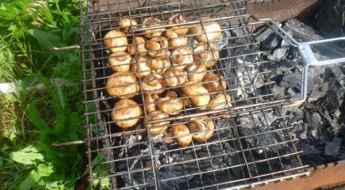 Як маринувати гриби шампіньйони для гриля. Как мариновать шампиньоны для гриля