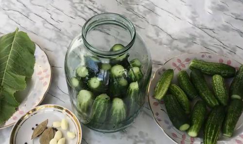 Как посолить маленькие огурчики. Малосольные хрустящие огурцы в холодной воде (холодным рассолом) 24