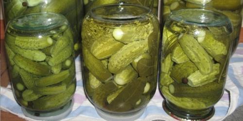 Малосольные огурцы на зиму в литровых банках. Как посолить огурцы на зиму — самые простые пошаговые рецепты. Засолка огурцов на 1 литр и 3 литровую банку