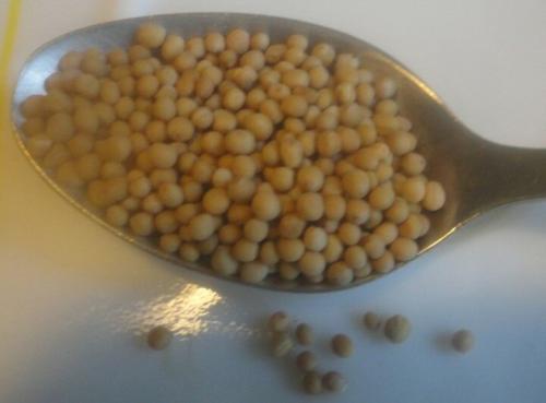 Маринованные лесные грибы быстрого приготовления. Лесные грибы (дождевики) –, как замариновать на зиму?