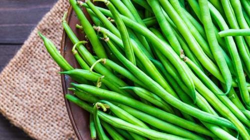 Створки фасоли обыкновенной. Польза стручков фасоли: как правильно собрать, заготовить и сделать целебный напиток