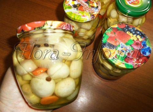 Грибы консервированные рецепт. Рецепты приготовления консервированных шампиньонов и блюд из них 24