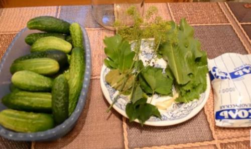 Как засолить огурцы в 3х литровой банке. Засолка хрустящих огурцов на зиму холодным способом рецепты на трехлитровую банку