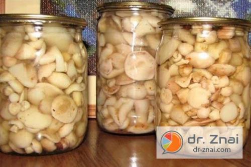 Сколько можно хранить маринованные грибы после вскрытия. Срок годности маринованных грибов открытую банку