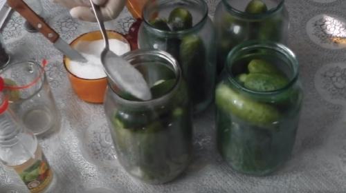 Как солить огурцы на зиму в 2 литровых банках. Засолка огурцов на зиму в литровых банках – 5 рецептов хрустящих соленых огурцов