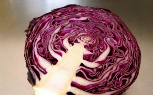 Рецепты из красной капусты вкусные и простые на зиму. Заготовка салатов из краснокочанной капусты на зиму