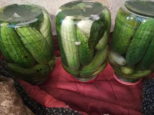 Вкусные огурцы на зиму в литровых банках с уксусом. Самые вкусные маринованные огурцы на зиму — рецепт на 2 литровую банку: