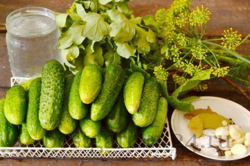 Как консервировать малосольные огурцы на зиму в банках. Малосольные огурцы в банке на зиму