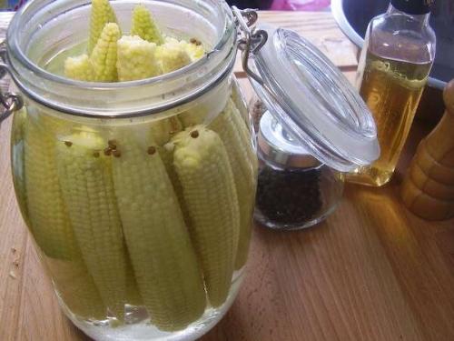 Консервация кукурузы на зиму в початках. Приготовление консервированной кукурузы в початках на зиму 19 Консервация кукурузы на зиму в початках. Приготовление консервированной кукурузы в початках на зиму 19