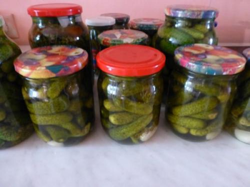 Маринованные корнишоны, как магазинные. Рецепт приготовления хрустящей закуски на зиму