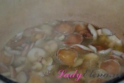 Рецепты консервирования грибов на зиму. Грибы маслята на зиму в банках — пошаговый фото рецепт