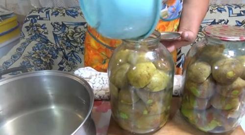 Консервированные целые груши на зиму. Консервирование груш целиком в банки рецепт. Из целых груш 17