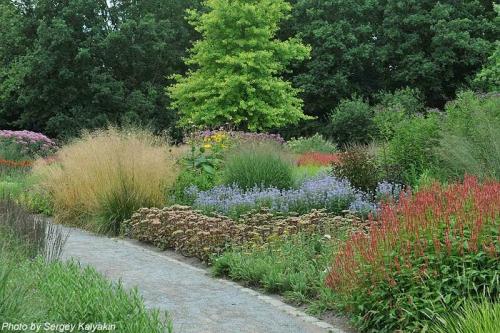 Piet oudolf. С юбилеем, Пит Удольф!