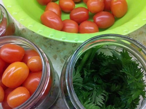 Помидоры с морковной ботвой поваренок. Помидоры на зиму без стерилизации и специй - только с морковной ботвой