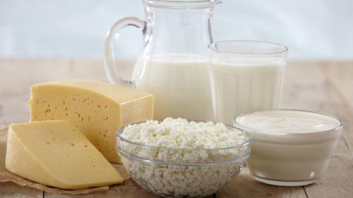 Чем заменить сепаратор для молока. Как выбрать сепаратор для молока: принцип работы, различия, цены