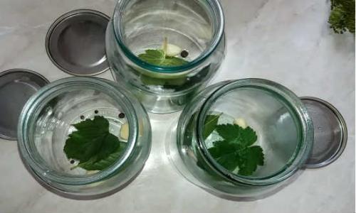 Как солить огурцы на зиму в банках простой рецепт. Как приготовить соленые огурцы на зиму без уксуса?