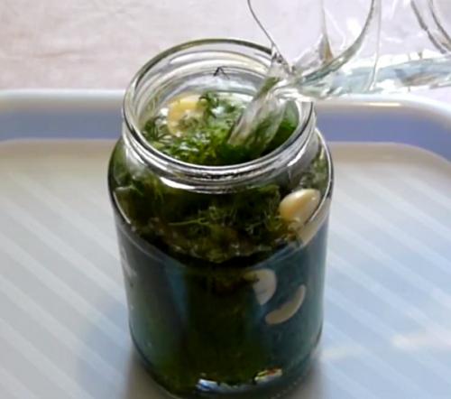 Как посолить маленькие огурчики. Малосольные хрустящие огурцы в холодной воде (холодным рассолом) 07