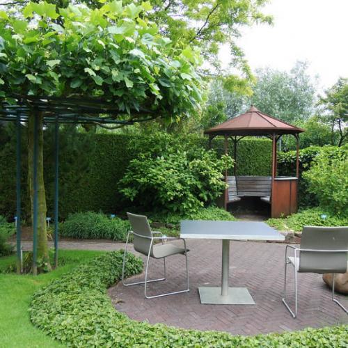 Landscape design expert. Визуальная среда 14 Landscape design expert. Визуальная среда 14