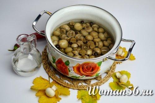 Мариновані гриби шампіньйони на зиму рецепт. Маринованные шампиньоны в домашних условиях