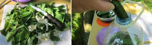 Огурцы на зиму без стерилизации